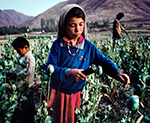 Afghan Drugs More Dangerous than Terrorism: UNODC